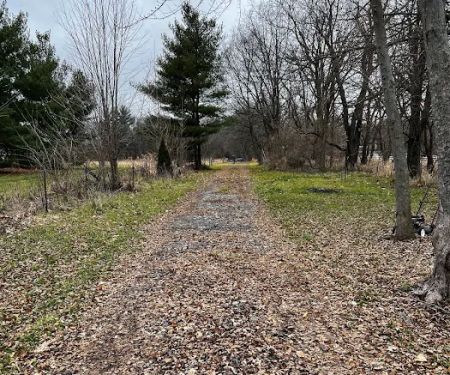 Sherman R Cook Memorial Scout Park (Cook Woods)