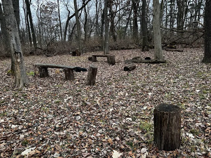 Sherman R Cook Memorial Scout Park (Cook Woods) Picture 4