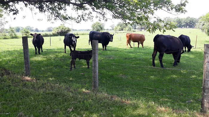 Lehman's Lakeside RV Resort Picture 1