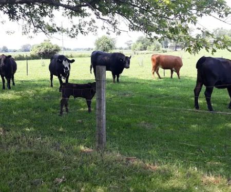 Lehman's Lakeside RV Resort