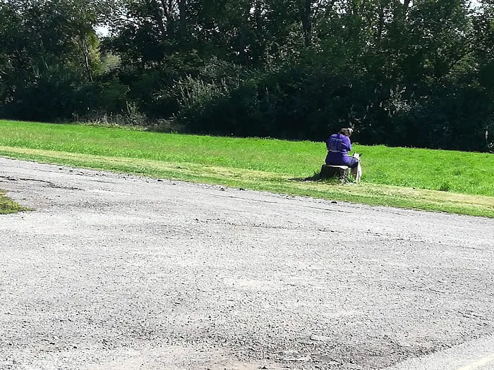 Lehman's Lakeside RV Resort Picture 9