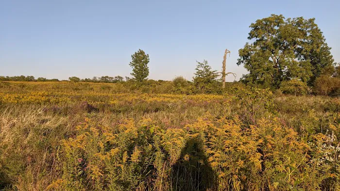 Thomas Woods Campground Picture 3