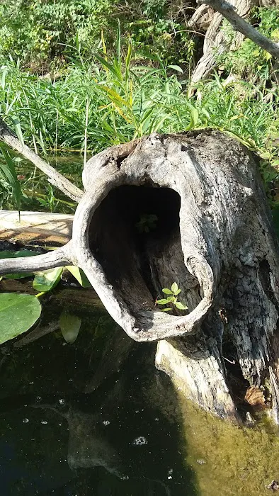 Sheridan Rod & Gun Club Picture 5