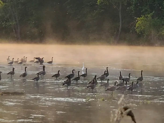Deer Creek Campground Picture 2