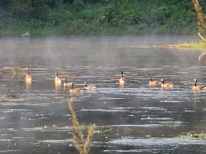 Deer Creek Campground Picture 3