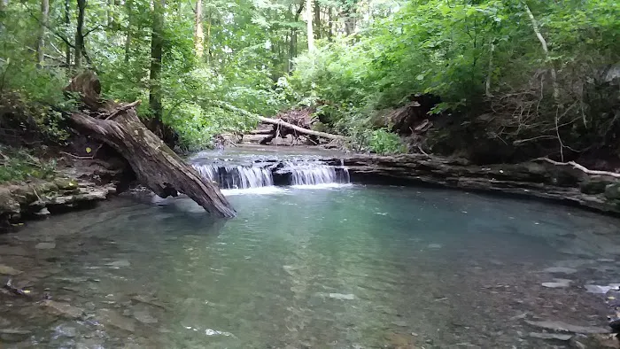 Youth Group Campground Picture 2