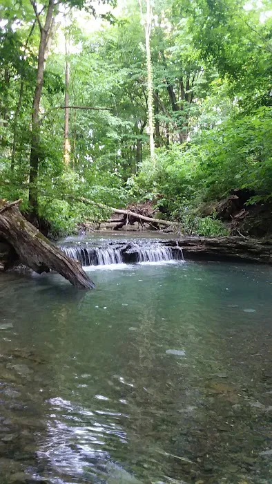 Youth Group Campground Picture 7