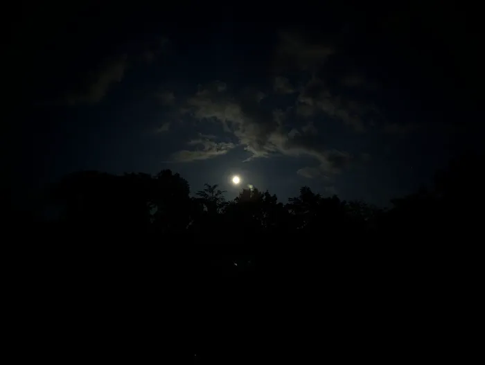 Youth Group Campground Picture 1