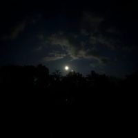 Youth Group Campground ico