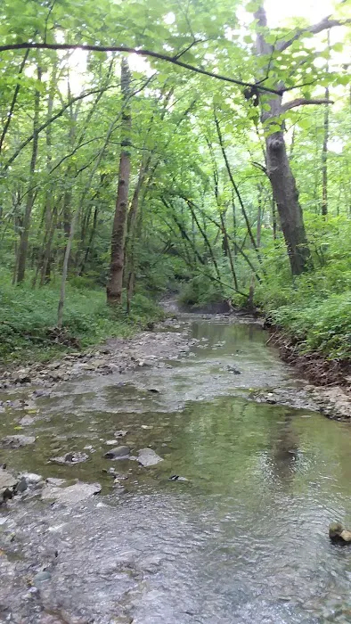 Youth Group Campground Picture 4