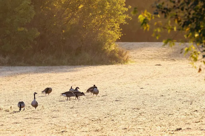 Sanders Park Campground Picture 1