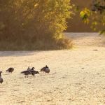 Sanders Park Campground