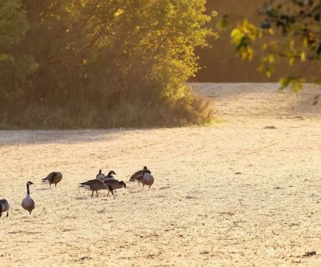 Sanders Park Campground