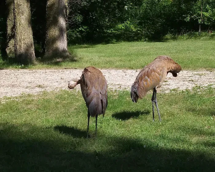 Fox Den Campground Picture 2