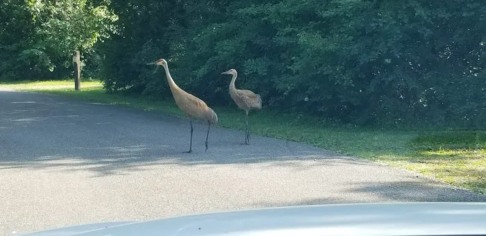 Fox Den Campground Picture 4