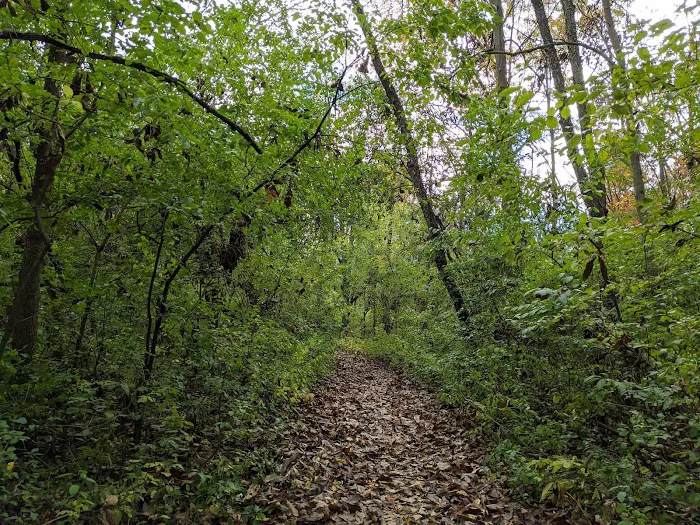 Mudlake West Youth Group Camping Area, Chain O' Lakes State Park Picture 5