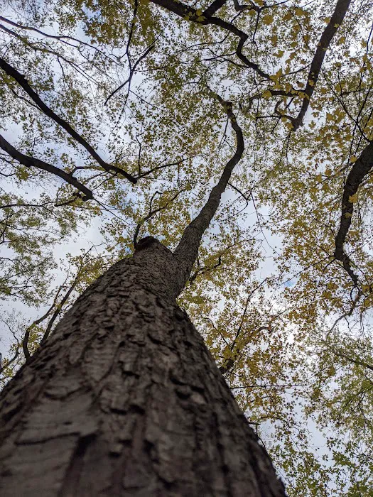 Mudlake West Youth Group Camping Area, Chain O' Lakes State Park Picture 6