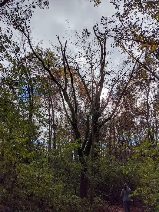 Mudlake West Youth Group Camping Area, Chain O' Lakes State Park Picture 9