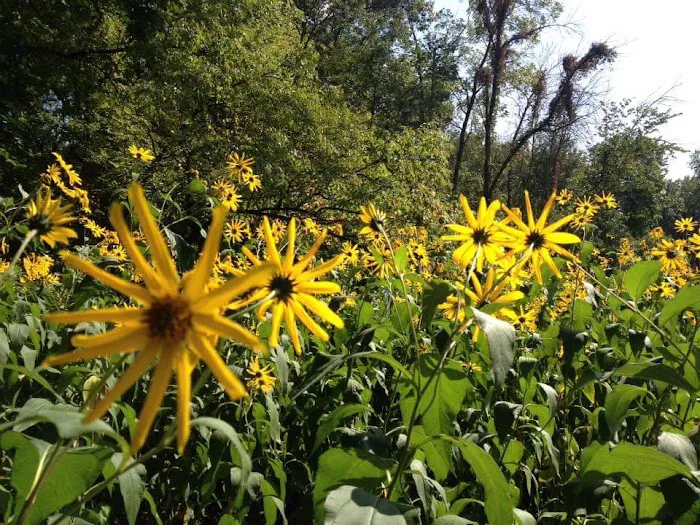 Camp Rotary McQueen Picture 6