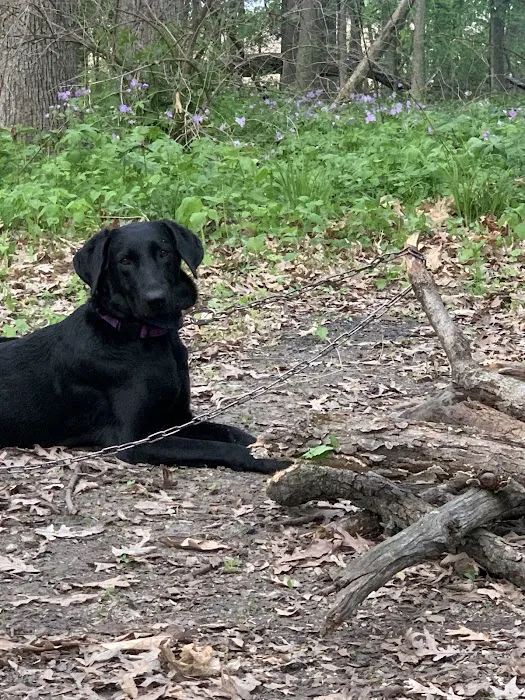 Camp Rotary McQueen Picture 3