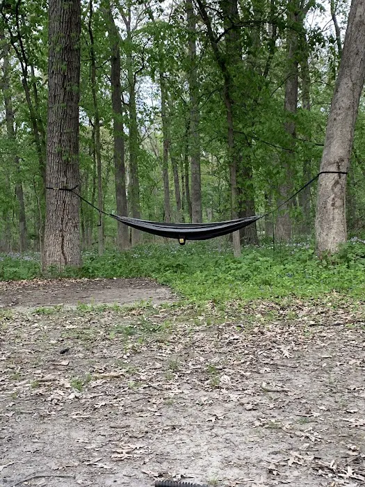 Camp Rotary McQueen Picture 2