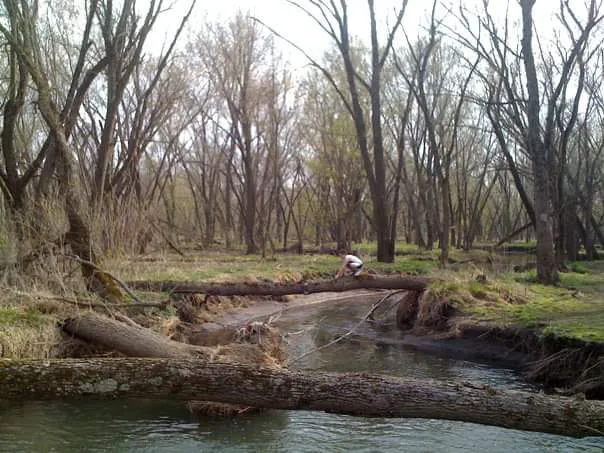 Camp Rotary McQueen Picture 1