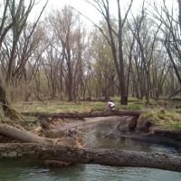 Camp Rotary McQueen ico