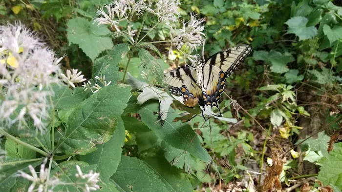 Camp Rotary McQueen Picture 7