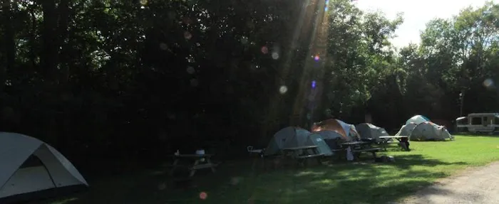 Betsie River Campsite Picture 4