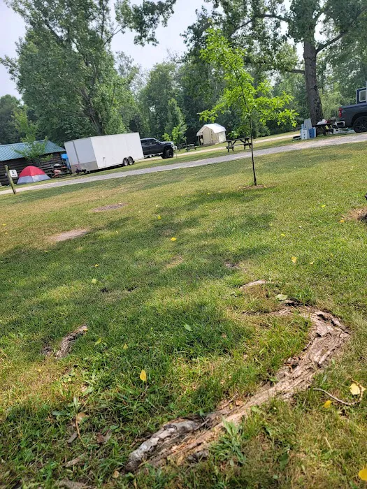 Betsie River Campsite Picture 8