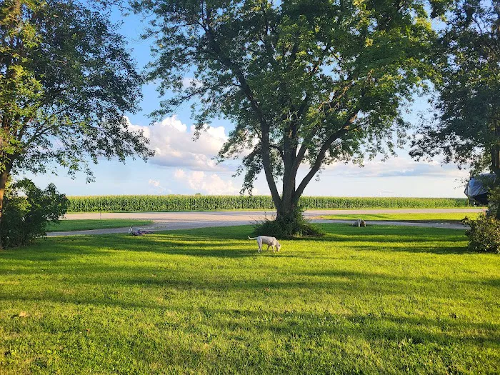 Sunny Side Acres Picture 4