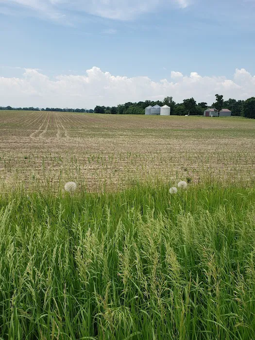 Hickory Lane Campground Picture 5