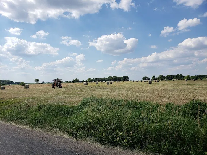 Hickory Lane Campground Picture 3