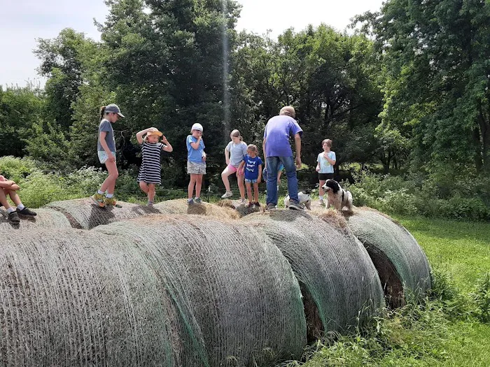 Serenity Fields Farm Picture 5