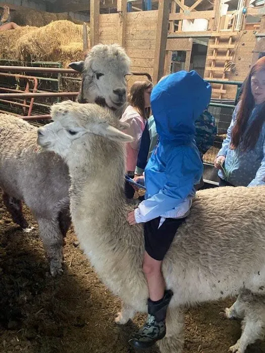 Serenity Fields Farm Picture 1