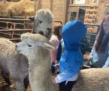 Serenity Fields Farm