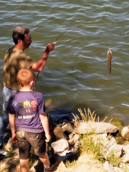 White Oak Primative Camp Picture 1