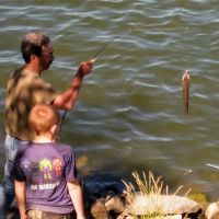 White Oak Primative Camp ico