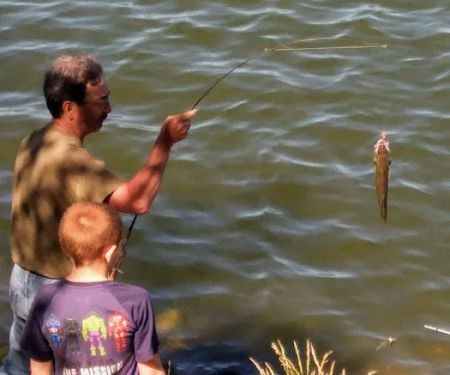 White Oak Primative Camp