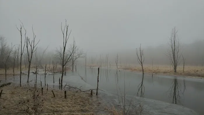 White Oak Primative Camp Picture 3