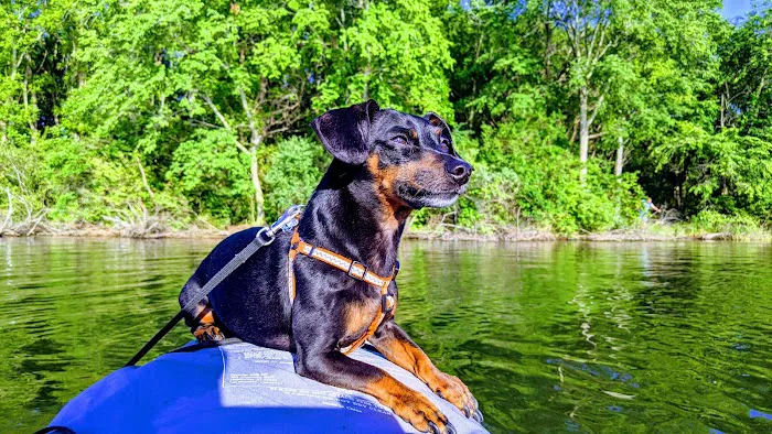 White Oak Primative Camp Picture 10