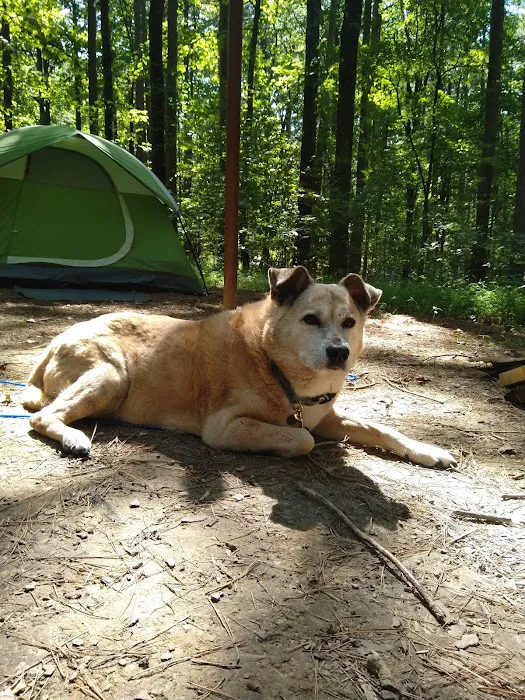 Pine Ridge Campground Picture 4