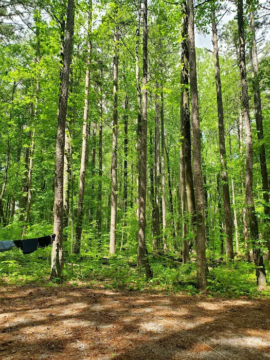 Pine Ridge Campground Picture 6