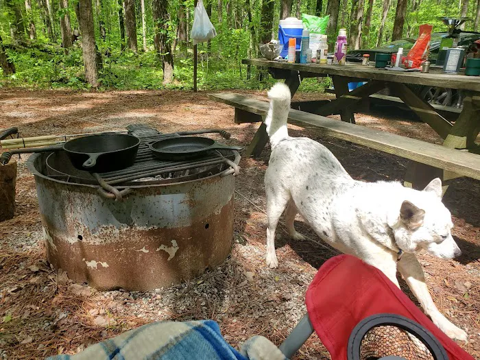 Pine Ridge Campground Picture 3