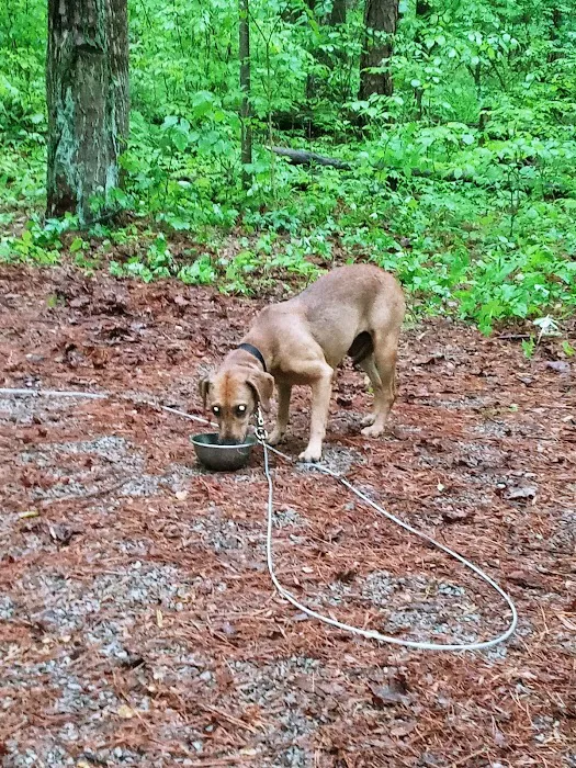 Pine Ridge Campground Picture 10