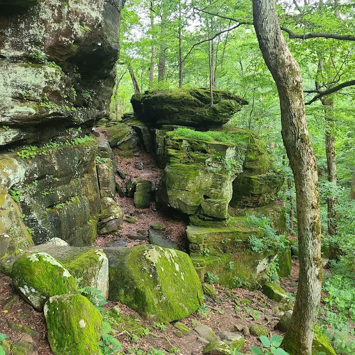 Pounds Hollow Recreation Area Picture 3