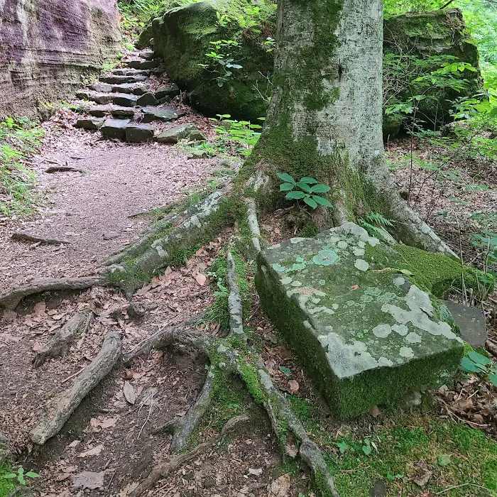 Pounds Hollow Recreation Area Picture 8