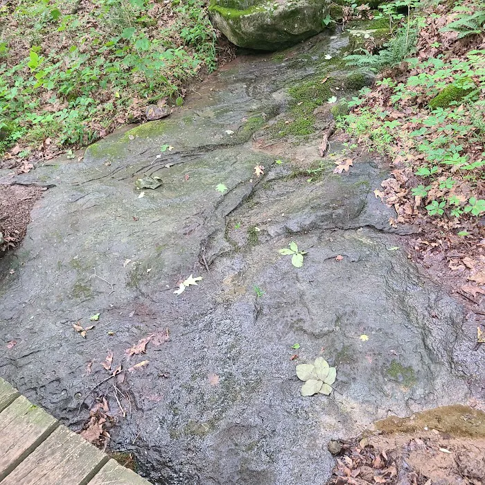 Pounds Hollow Recreation Area Picture 6