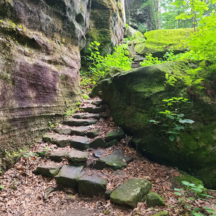 Pounds Hollow Recreation Area Picture 7