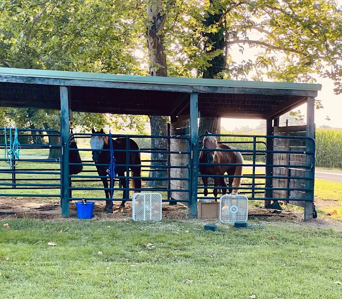 Double M Campground Picture 4